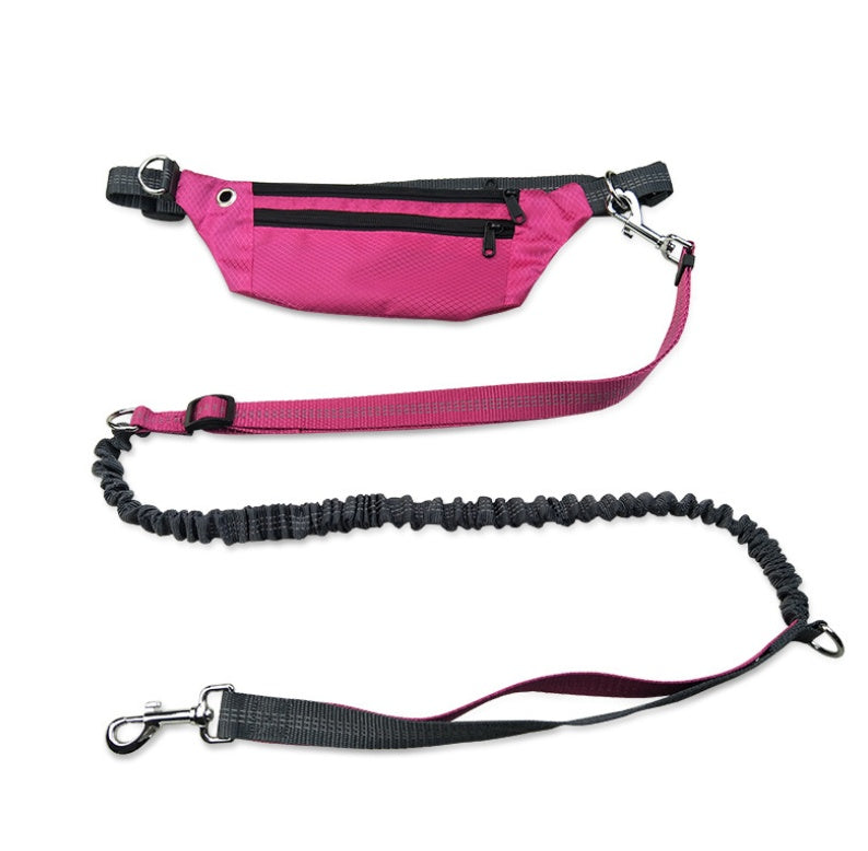 Hands-free dog leash control strap close to clip for guidance