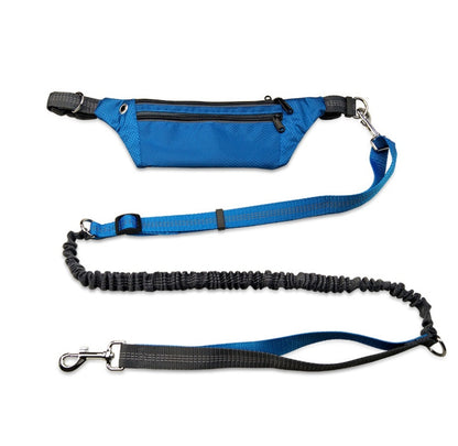 Shock-absorbing bungee dog leash reducing pulling strain