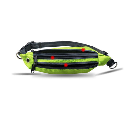 Hands-Free Dog Running Lead with Waist Belt Pack