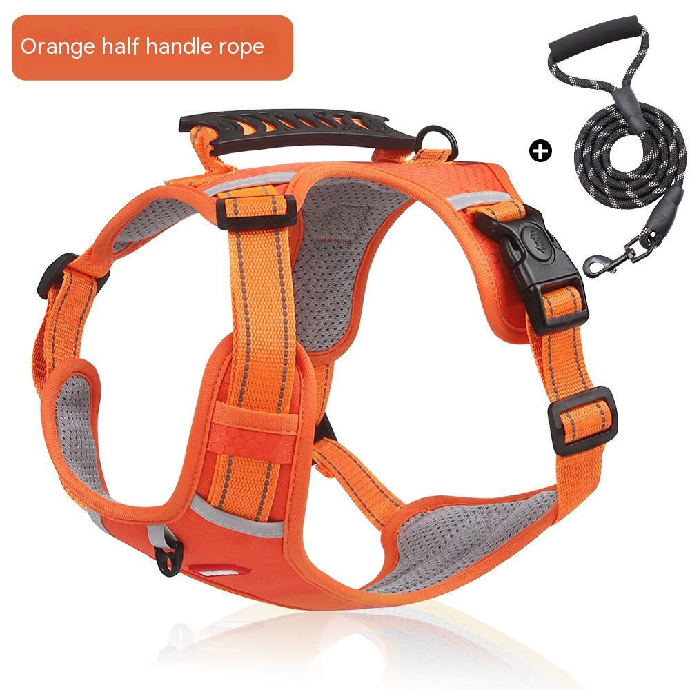 Corgi wearing reflective dog harness with handle and leash