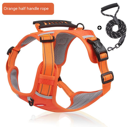 Corgi wearing reflective dog harness with handle and leash