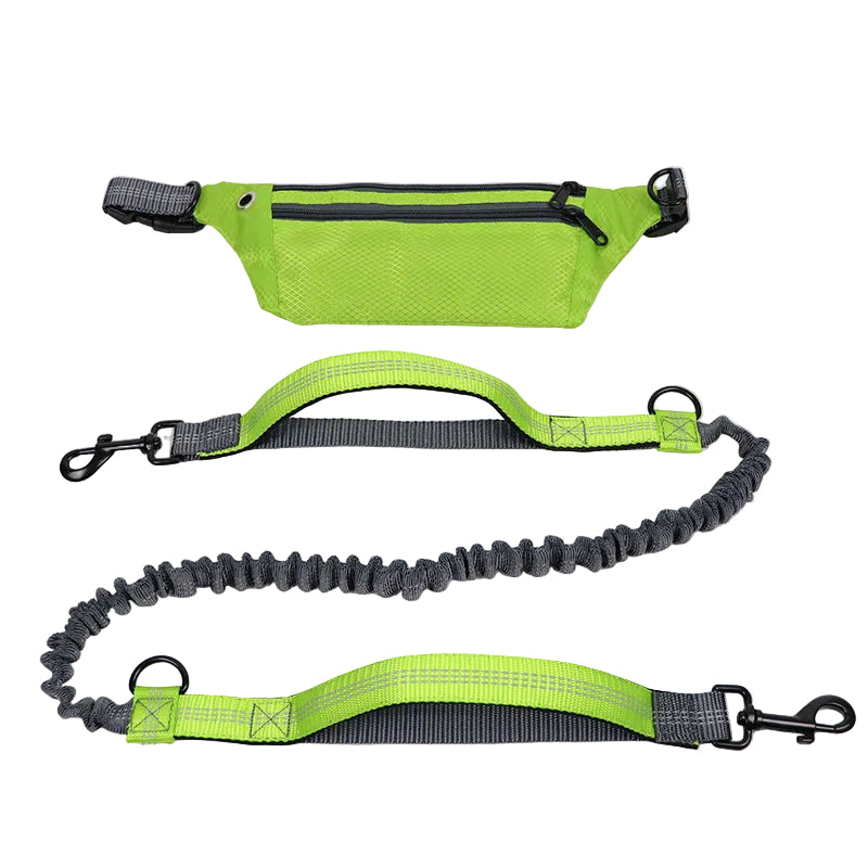 Reflective hands-free dog leash for night walking safety