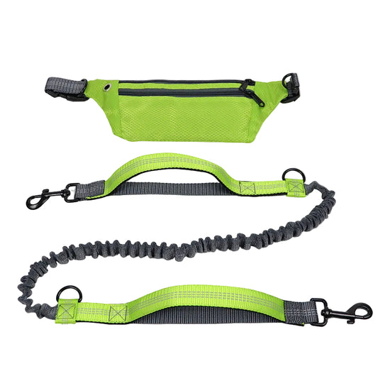 Reflective hands-free dog leash for night walking safety