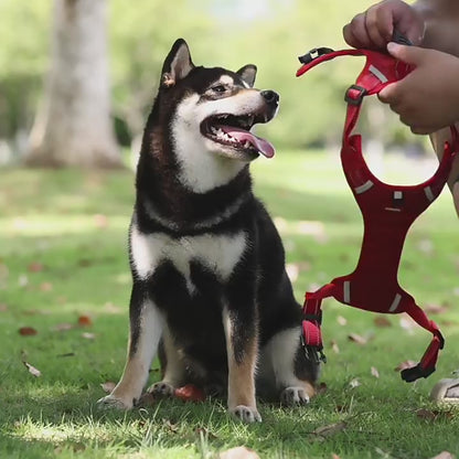 Reflective No-Pull Dog Harness with Control Handle