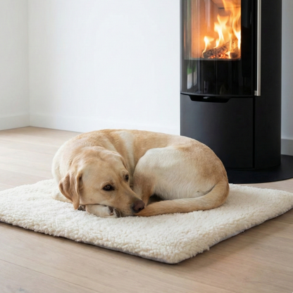 Self-Warming Pet Mat- Cozy Heat, No Electricity
